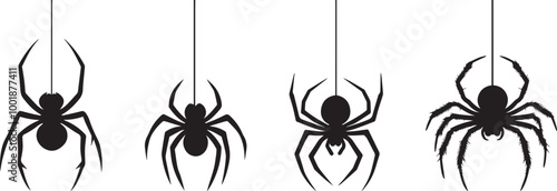 Silhouette of a spider hanging from a web, halloween vector