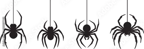Obraz Silhouette of a spider hanging from a web, halloween vector