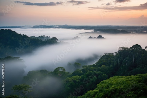 Ethereal Rainforest at Dawn: A Misty Tropical Panorama with Floating Fog and Lush Greenery