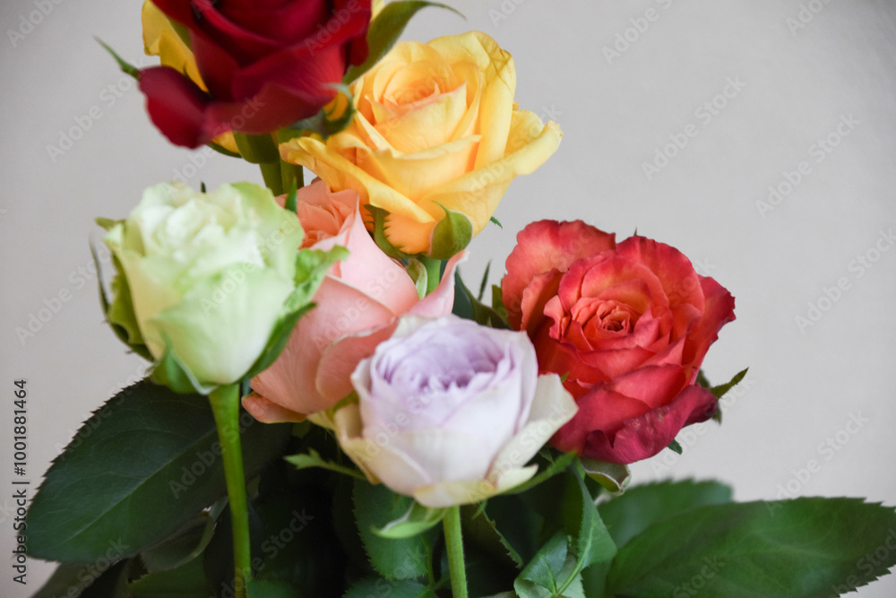 カラフルな薔薇 カラフルな薔薇