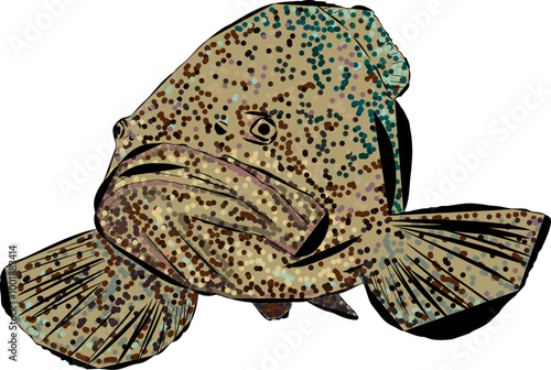 An artistic Goliath Grouper fish