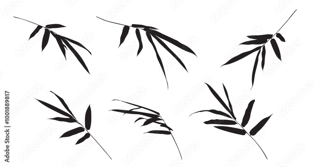 Branch of bamboo leaves on white background isolated. Vector illustration line art drawing. Botanical hand drawn element. Black and white element. Branch of bamboo leaves on white background isolated. Vector illustration line art drawing. Botanical hand drawn element. Black and white element.