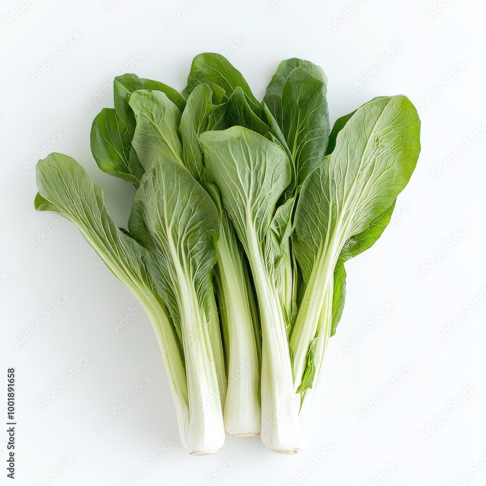Fresh bok choy or baby bok choy. on a white background Fresh bok choy or baby bok choy. on a white background