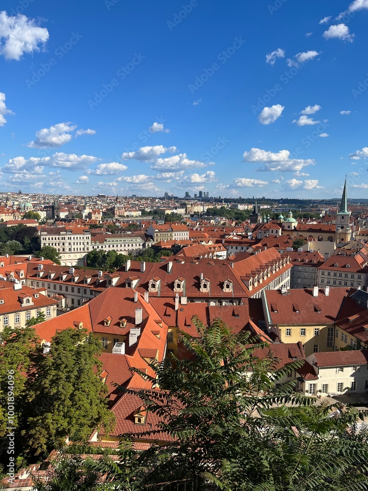 Obraz premium View from above of Prauge