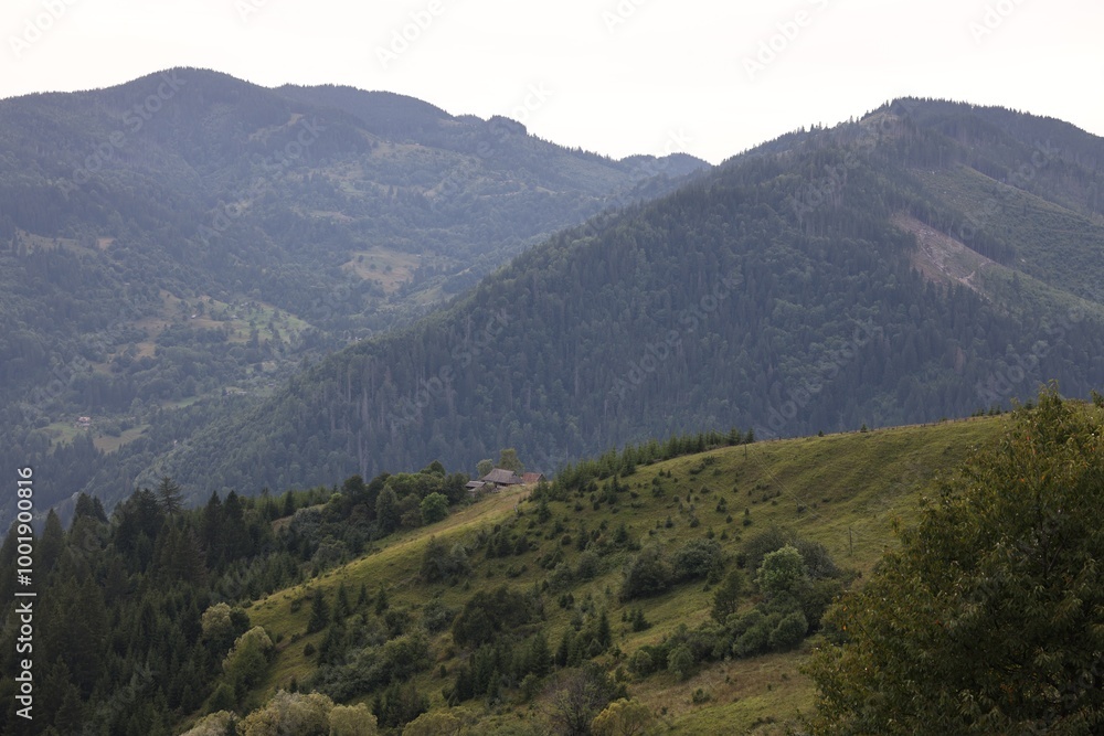 Beautiful view of forest in mountains under sky