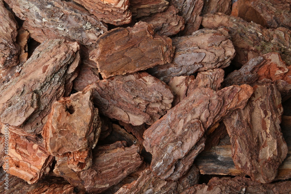 Pieces of tree bark as background, top view Pieces of tree bark as background, top view