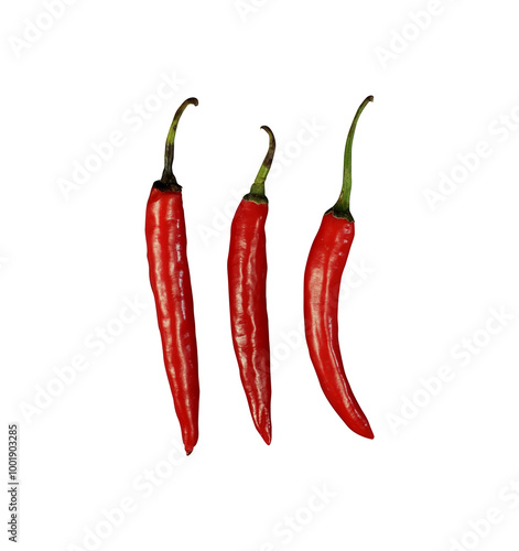 three red hot chili peppers isolated