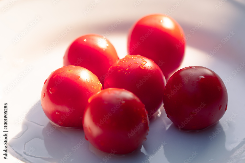 tomatoes on the table tomatoes on the table