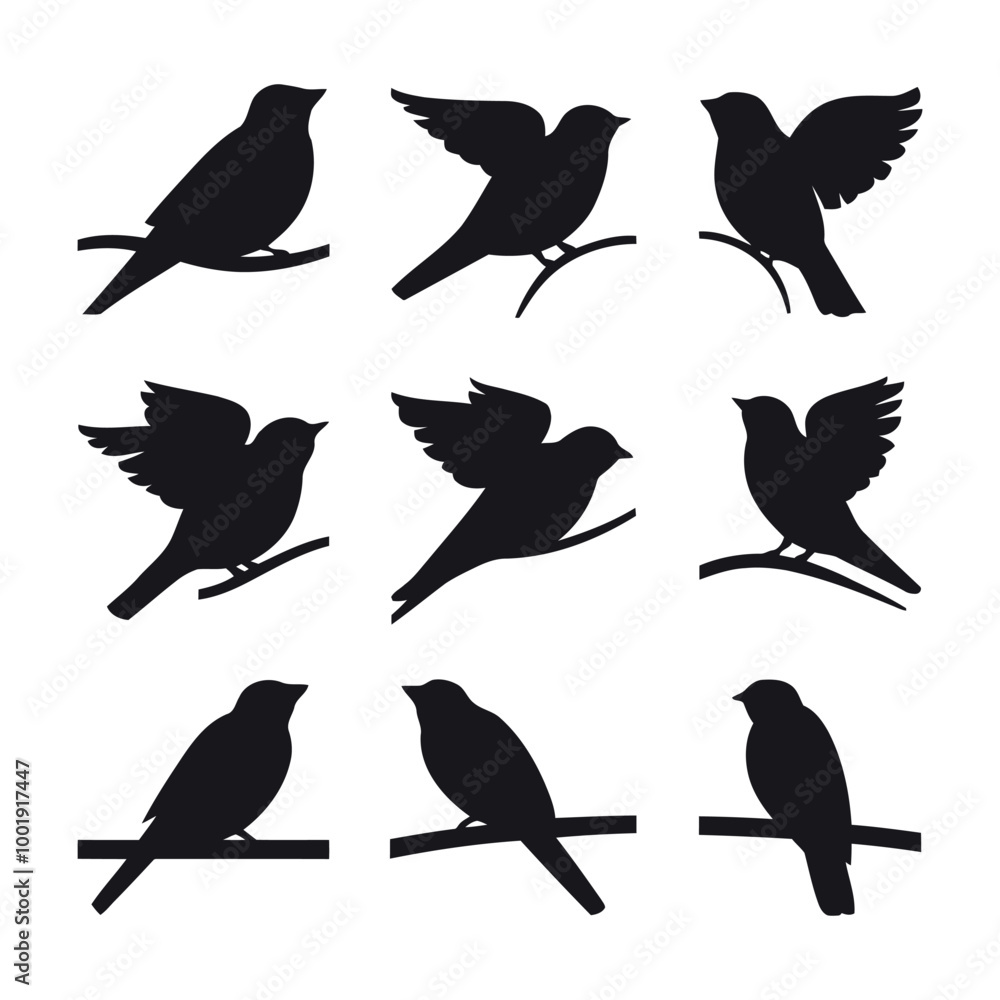 Fototapeta premium set of silhouettes of birds