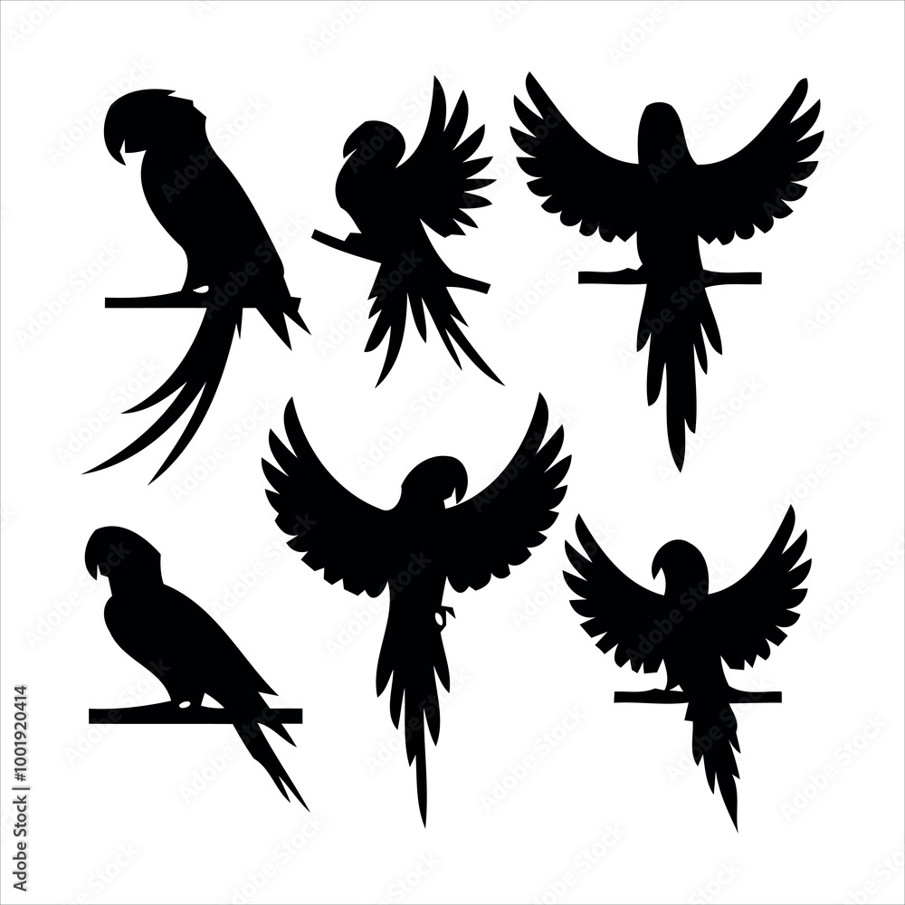 Obraz premium set of eagle