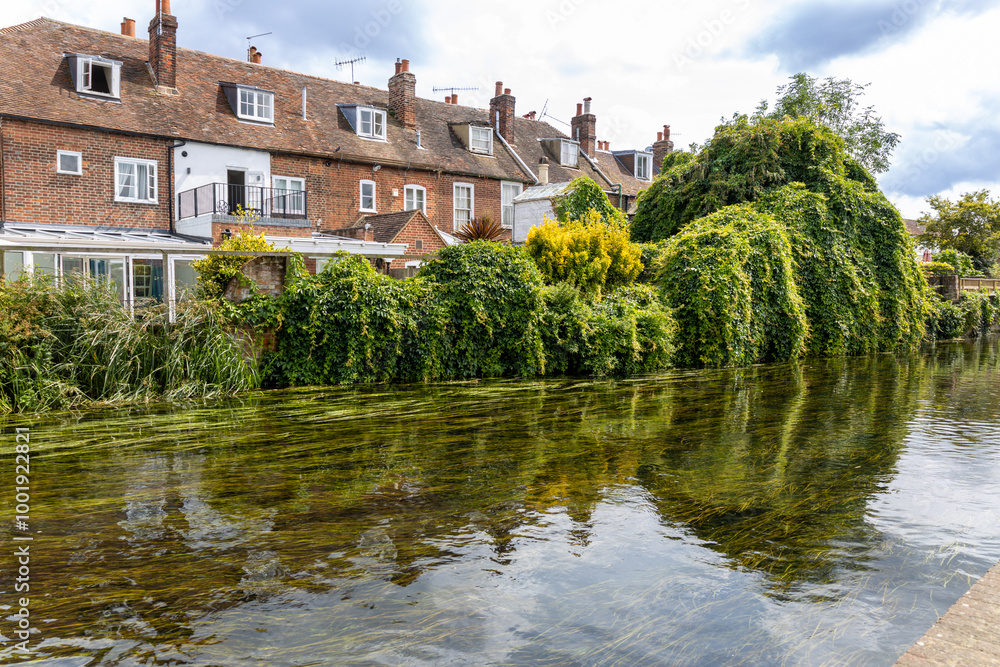 Obraz premium Landscape view of the Stour River running through the town of Canterbury, on July 26, 2024 in Kent, England, UK.