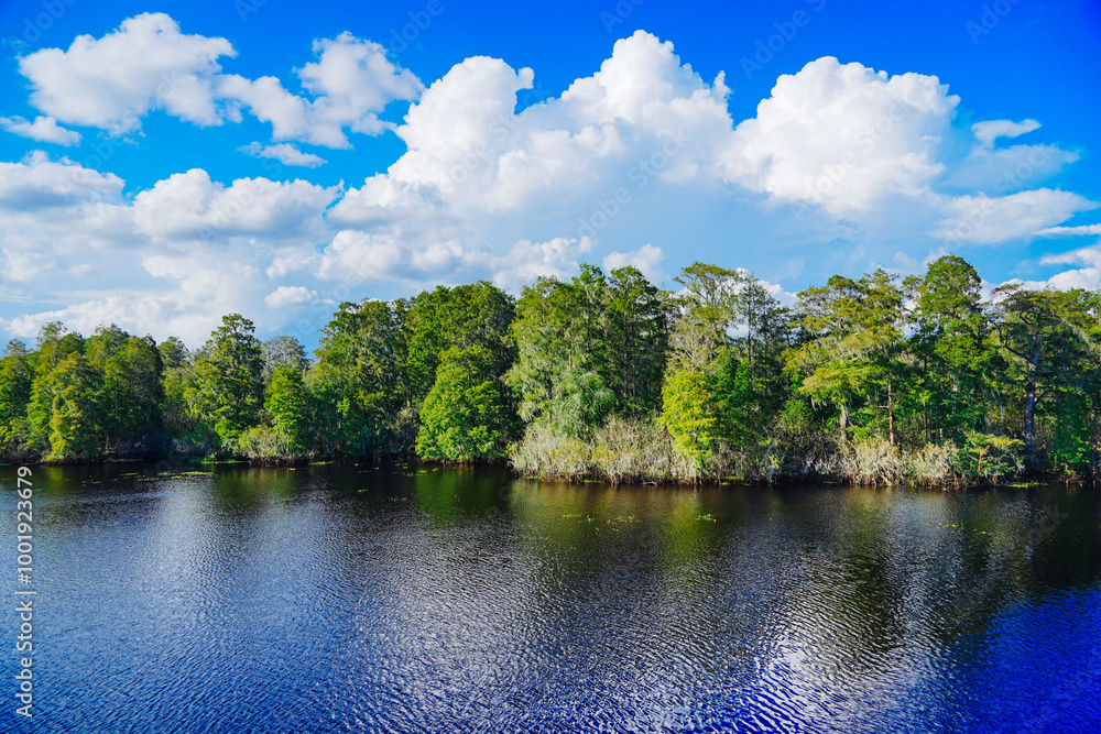 The landscape of Hillsborough river and lettuce park at Tampa, Florida The landscape of Hillsborough river and lettuce park at Tampa, Florida