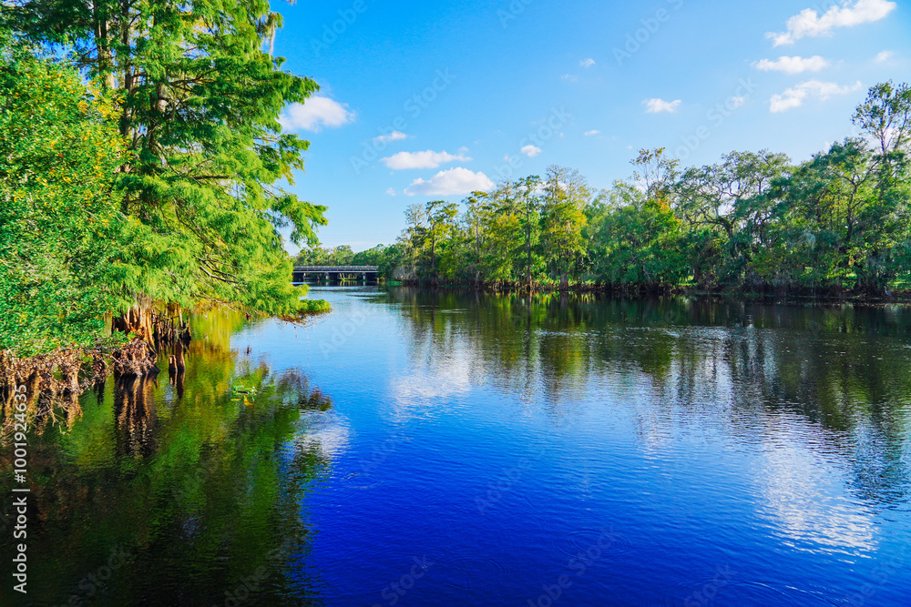 The landscape of Hillsborough river and lettuce park at Tampa, Florida The landscape of Hillsborough river and lettuce park at Tampa, Florida