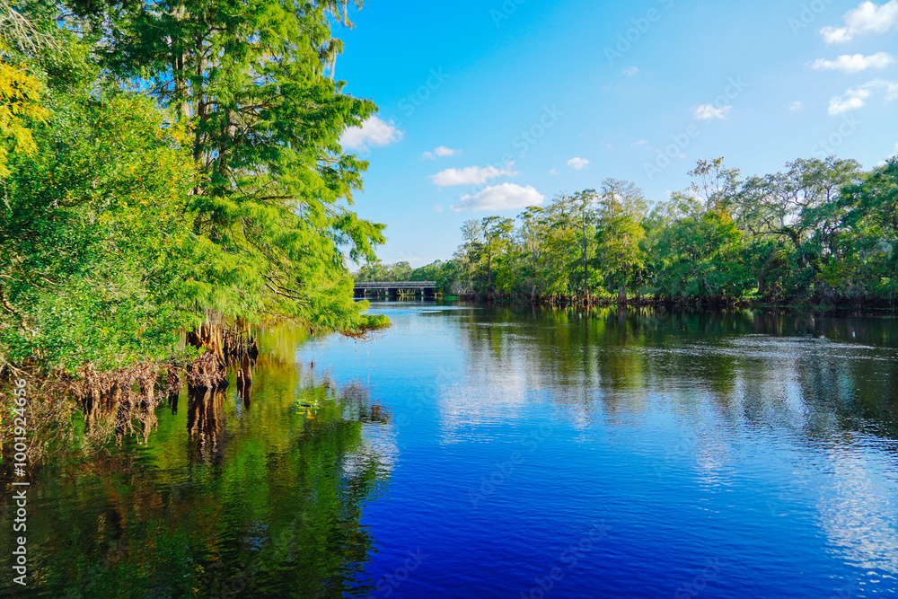 Fototapeta premium The landscape of Hillsborough river and lettuce park at Tampa, Florida