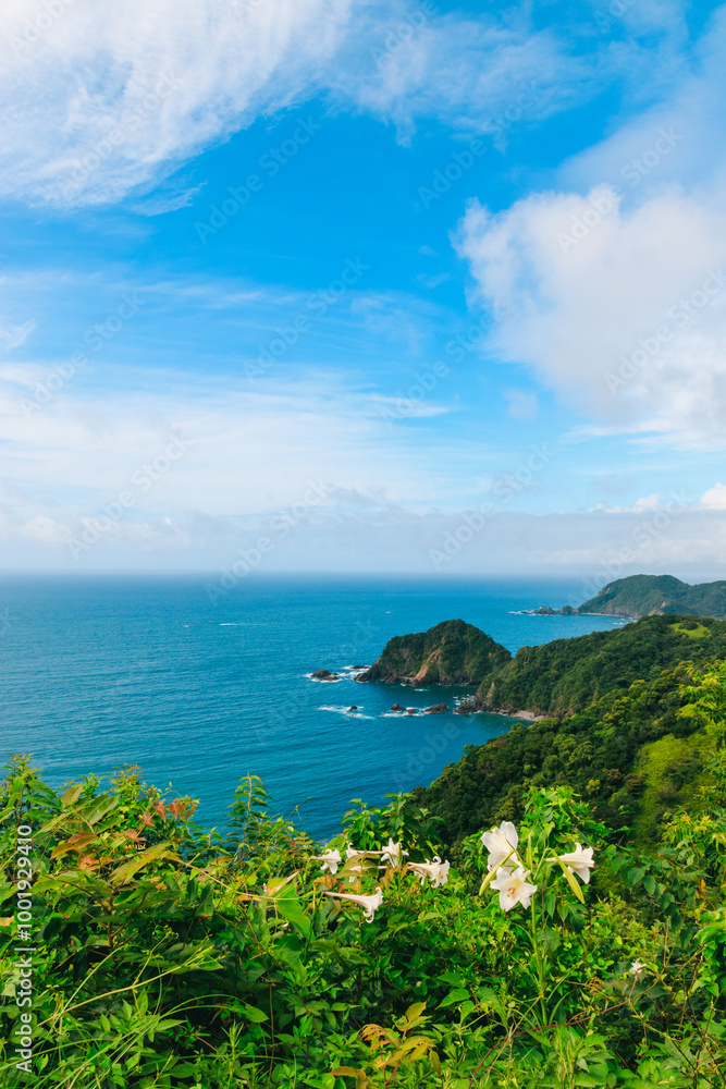 Fototapeta premium 四国の横浪黒潮ラインからの海