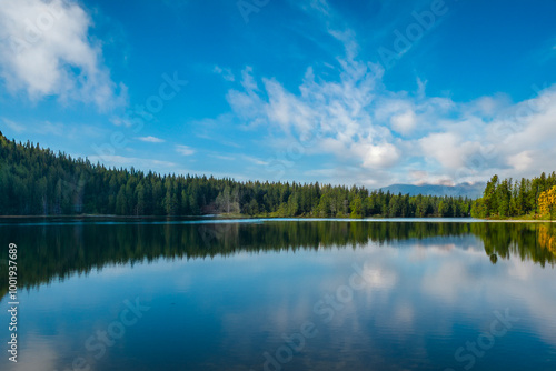 lake and forest