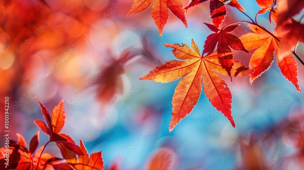Gorgeous Autumn Red Maple Leaf Forest Background Picture: A Captivating Seasonal Display. Admire the Beauty and Tranquility. Gorgeous Autumn Red Maple Leaf Forest Background Picture: A Captivating Seasonal Display. Admire the Beauty and Tranquility.