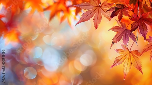 Gorgeous Autumn Red Maple Leaf Forest Background Picture: A Captivating Seasonal Display. Admire the Beauty and Tranquility.