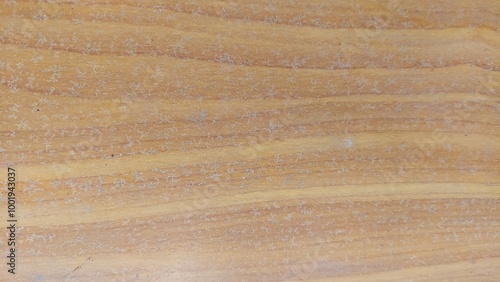A close-up shot of wood grain texture, featuring a natural, warm brown hue and a smooth, even surface. Ideal for backgrounds, website designs, and more.