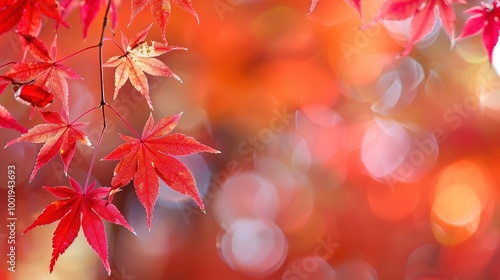 Gorgeous Autumn Red Maple Leaf Forest Background Picture: A Captivating Seasonal Display. Admire the Beauty and Tranquility.