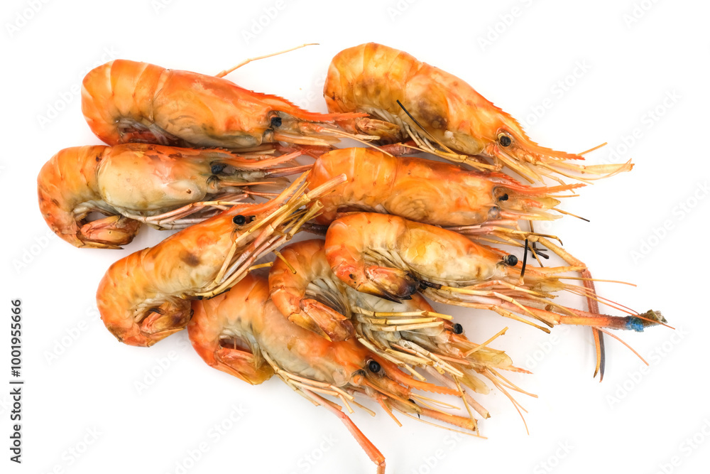 Grilled shrimp on a white background. Seafood. Natural symptoms Grilled shrimp on a white background. Seafood. Natural symptoms