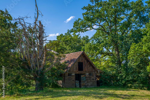 ein altes Holzhaus mit einem Baum auf einer Wiese photo