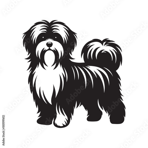 Havanese Dog Clipart Design - Dog Vector illustration in black and white 