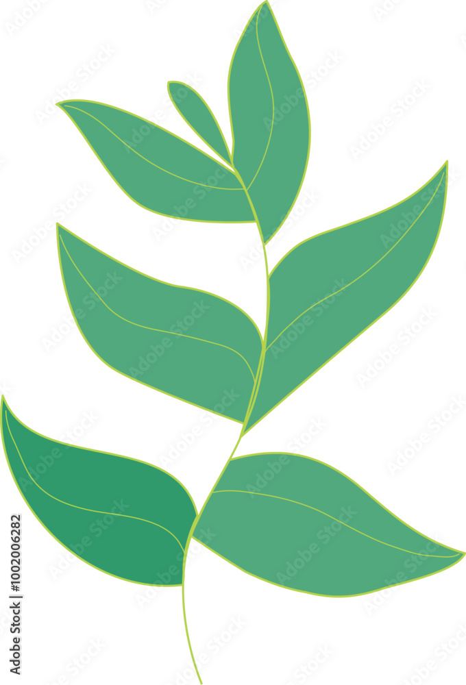 hand drawn tropical leaves with flat design hand drawn tropical leaves with flat design