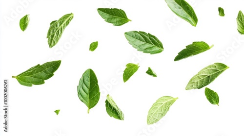 Mint Leaves Floating in Air Isolated on White Background Generative AI