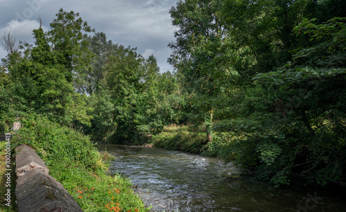 Slika na platnu A tranquil scene of the River Fane in County Monaghan, Ireland, featuring flowin