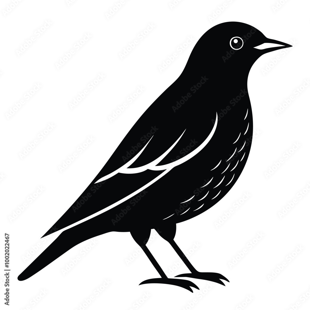 Fototapeta premium European starling icon - Transparent Background Clipart