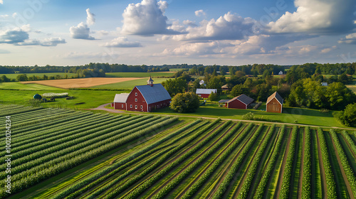 Aerial view of a farmhouse surrounded by lus fields and a clear blue sky photo