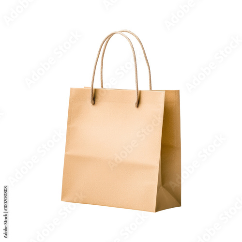 Brown Paper Shopping Bag with Rope Handles