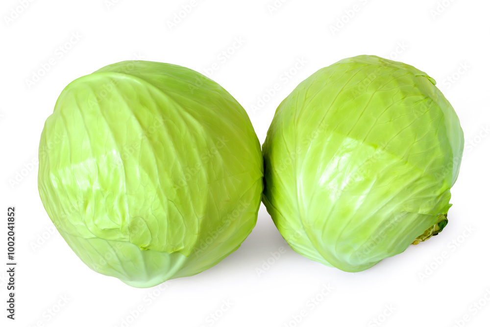 Two fresh heads of cabbage on a white background. Round whole cabbage on a white background. Two fresh heads of cabbage on a white background. Round whole cabbage on a white background.