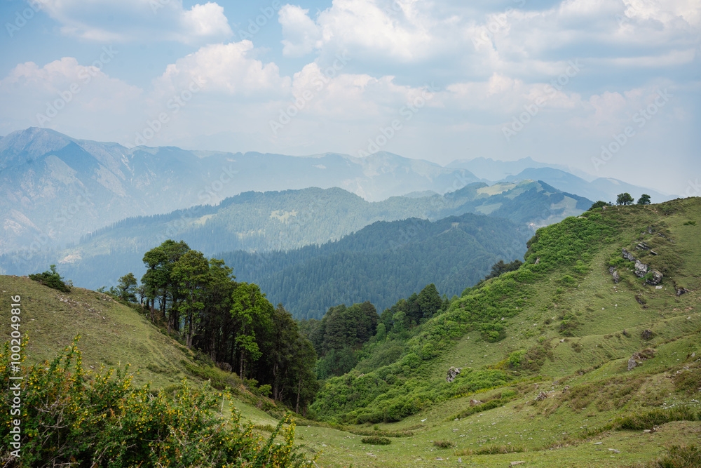 Fototapeta premium India's breathtaking mountain views boast majestic peaks, lush valleys, and serene landscapes in Shoja Himachal pradesh india. 