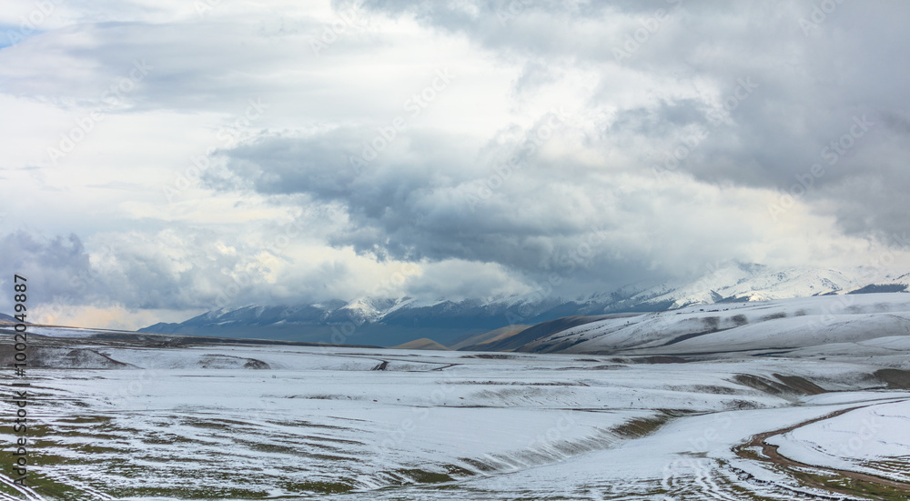 Fototapeta premium snow covered mountain