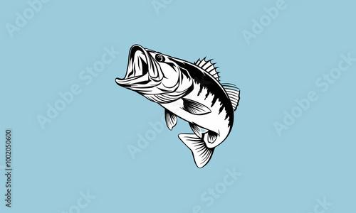 Vibrant bass fish illustration.