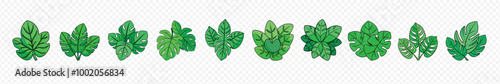 Set tropical or forest leaves, Topical palm leaves over white, 