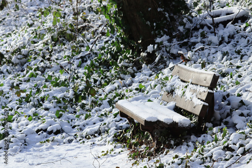 Snow-covered park bench