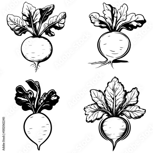 vegetables, editing materials, graphic design needs,