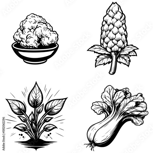 vegetables, editing materials, graphic design needs,