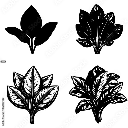vegetables, editing materials, graphic design needs,