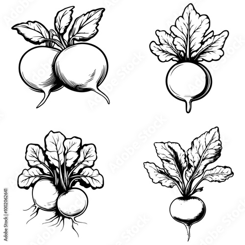 vegetables, editing materials, graphic design needs,