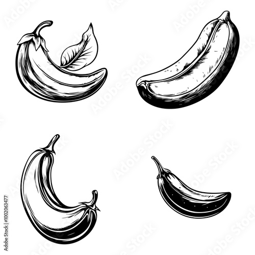 vegetables, editing materials, graphic design needs,