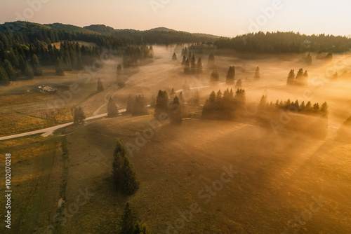 Aerial sunrise on the plain with fog and trees on the meadow. Summer landscape from Poiana Brasov, ski resort, Romania photo