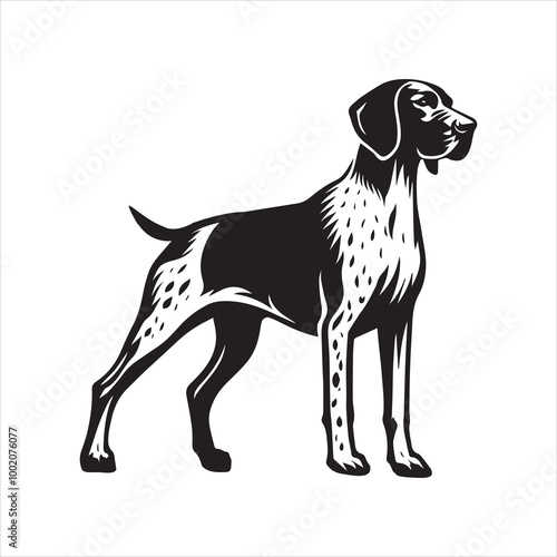German Shorthaired Pointer Dog Standing Vector illustration in black and white