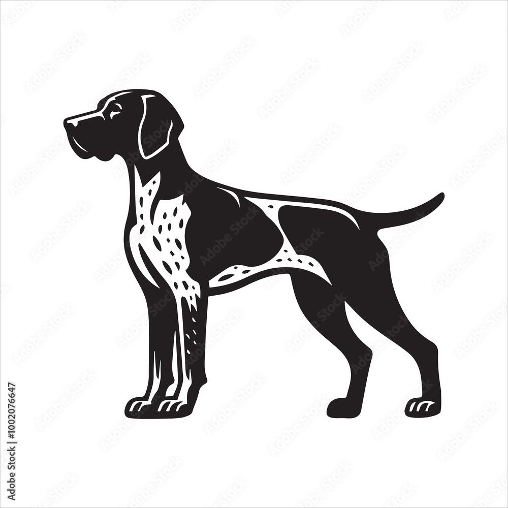German Shorthaired Pointer Dog Standing Vector illustration in black and white German Shorthaired Pointer Dog Standing Vector illustration in black and white