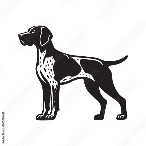 German Shorthaired Pointer Dog Standing Vector illustration in black and white