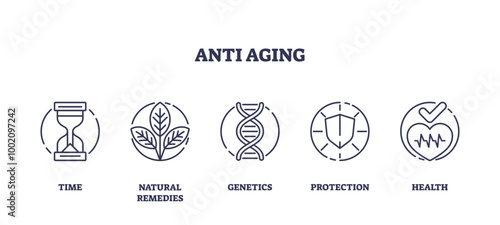 Outline icons representing time, natural remedies, genetics, protection, and health, outline icons set, transparent background.