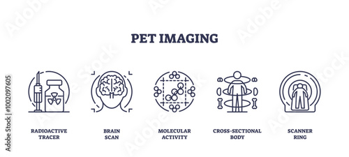 Outline icons set depicting PET imaging concepts, radioactive tracer, brain scan, molecular activity, cross-sectional body, and scanner ring, transparent background. Outline icons set.